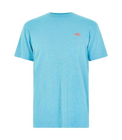 Mens fished branded t-shirt sky blue Weird Fish