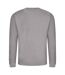 Sweatshirt unisexe gris platine Awdis-4