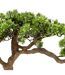 Bonsaï Artificiel en Pot Polin 60cm Vert-2