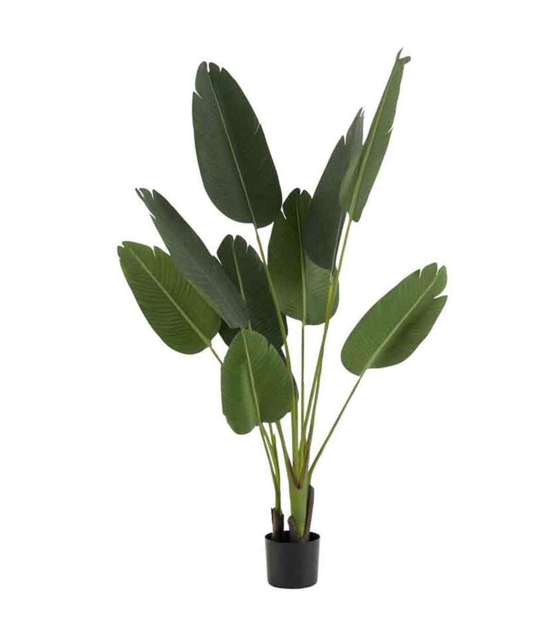 Plante Artificielle en Pot Strelitzia 165cm Vert-1