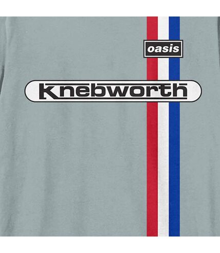 T-shirt knebworth adulte bleu étrange Amplified