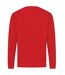 Unisex adult zion recycled cotton crew neck sweatshirt red Iqoniq-2