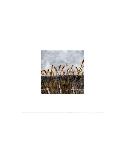 Louise O'Hara - Poster AUTUMN BULLRUSHES (Blanc / Jaune / Gris) (60 cm x 60 cm) - UTPM4657