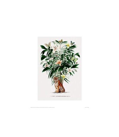 Summer Thornton - Poster (Vert / Blanc / Orange) (40 cm x 50 cm) - UTPM4619