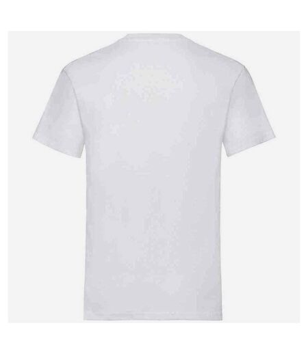 Fruit of the Loom Unisex Adult Heavy Cotton T-Shirt (White)