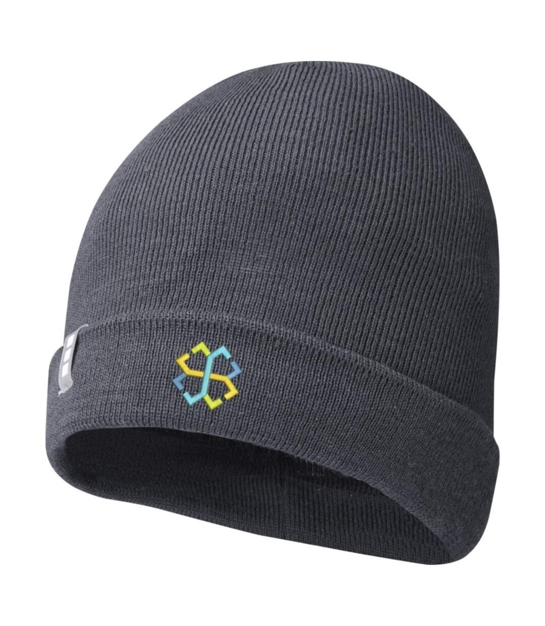 Elevate Unisex Adult Hale Polylana Beanie (Storm Grey) - UTPF3671-4