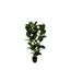 Plante Artificielle Ficus Robusta 120cm Vert