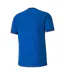 Maillot Teamgoal Homme Bleu Puma-2
