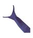 Supreme Products Unisex Adult Diamond Show Tie (Navy/Pink) (One Size)