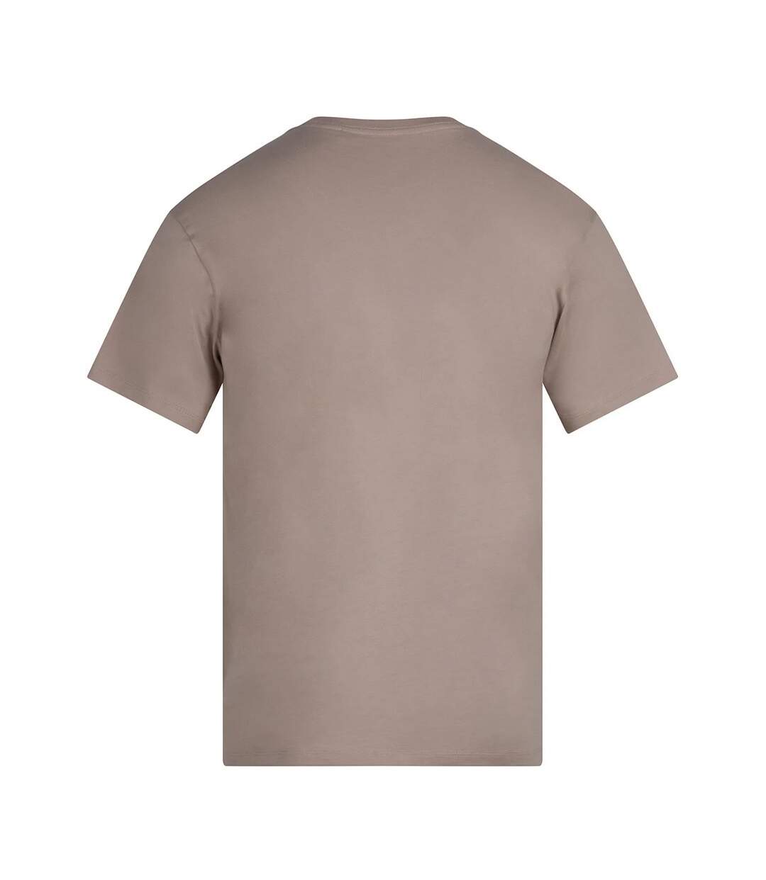 Unisex Adult Midweight Organic T-shirt Stone Anthem-2
