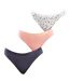 Pack-3 Panties Slips Coton Strech D4C17 women's comfortable and versatile design for daily use