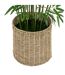 Bambou Artificiel en Pot Ly 150cm Vert-2