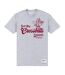 Park Fields - T-shirt CROSSBILLS - Adulte (Gris chiné) - UTPN661