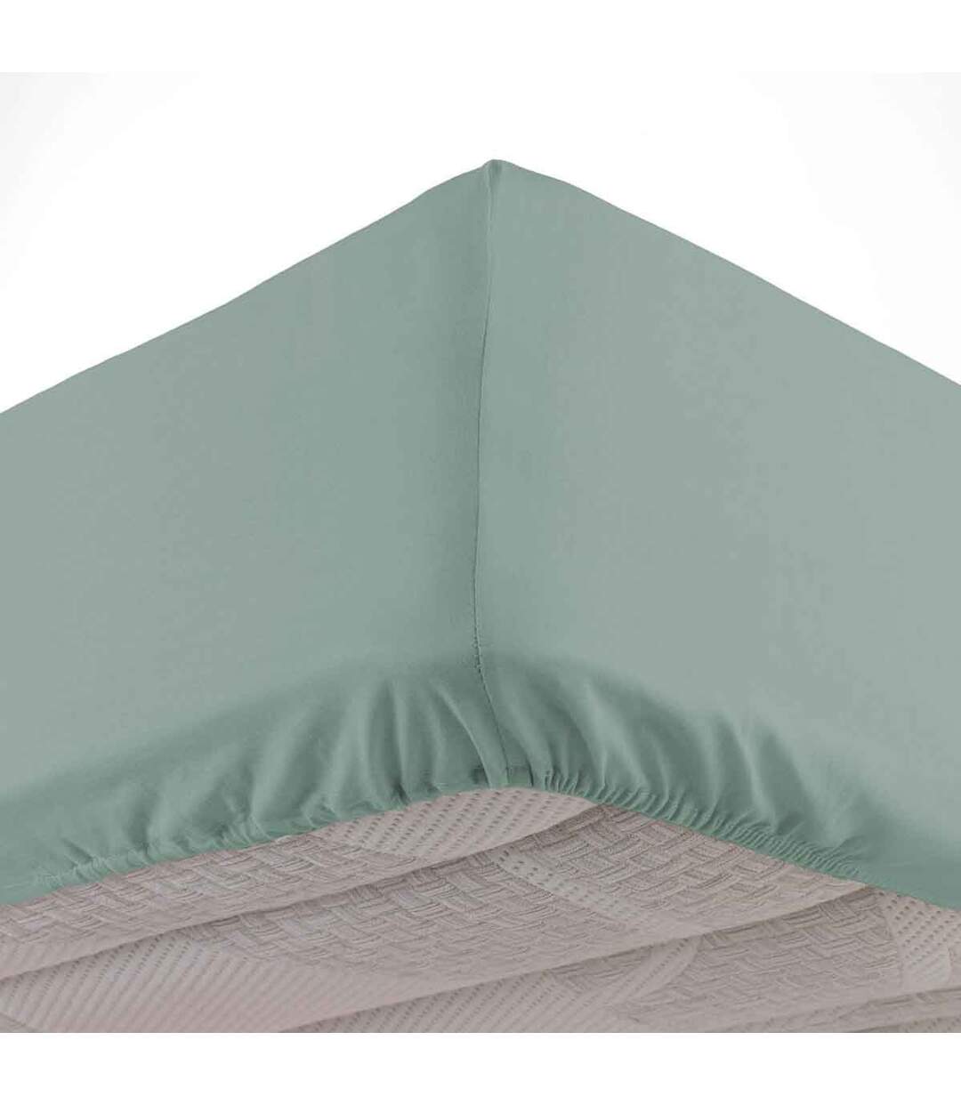 Drap Housse en Coton Linette 140x190cm Sauge-1