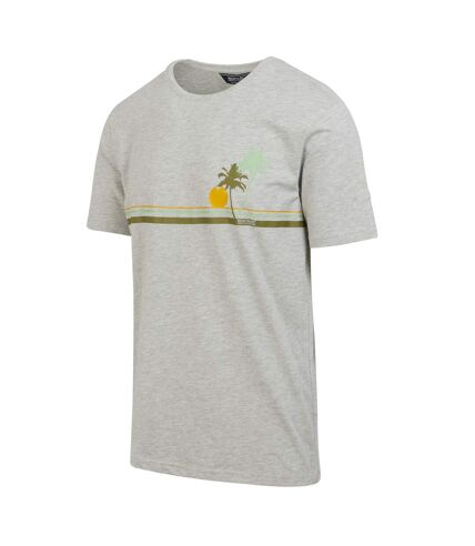 T-shirt cline homme gris argenté Regatta