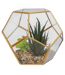 Plante Artificielle & Terrarium Déco Julie 17cm Or-1