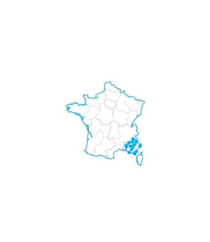 SMARTBOX - 3 jours insolites en Provence - Coffret Cadeau Séjour