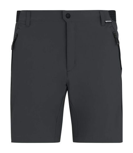 Short Mountain Homme Cendre Noir Regatta