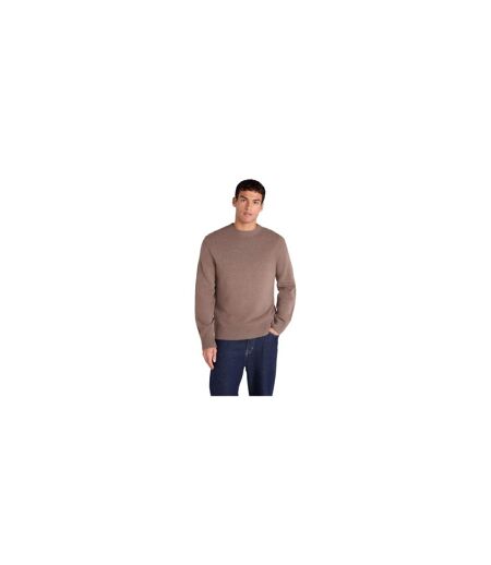 Pull Cosy Homme Brun Clair Animal