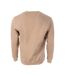 Sweat beige violet homme tommy hilfiger reg flag crew-2