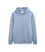 Sweat à capuche bleu homme teddy smith narks-1