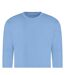 Sweat Adulte Bleu Bleuet Awdis-2