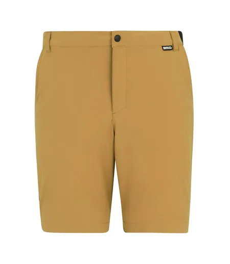 Short De Voyage Homme Marron Bois Regatta Professional