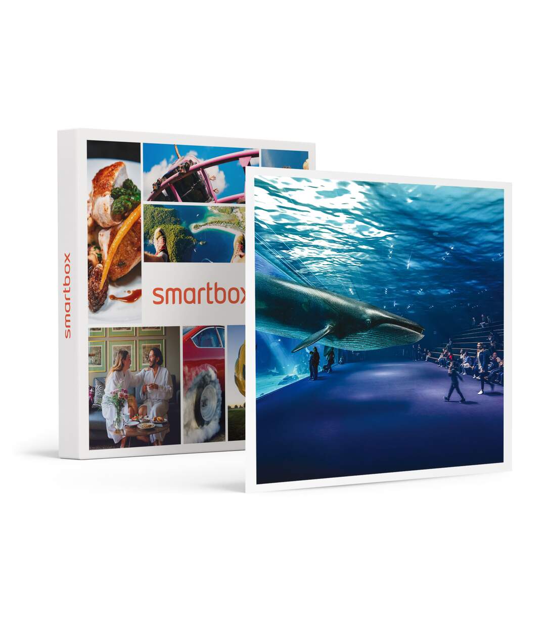 À la découverte des secrets de l’océan : 2 entrées adulte coupe-file à l’aquarium Nausicaá en basse saison - SMARTBOX - Coffret Cadeau Sport & Aventure