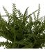 Fougère Artificielle en Pot Clemy 30cm Vert-2