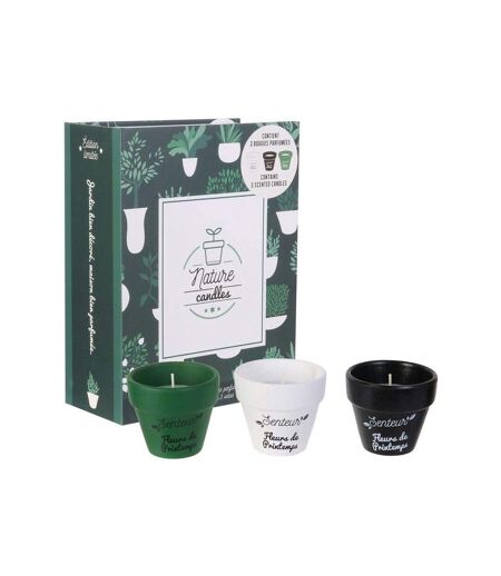 Coffret 3 bougies Nature candles