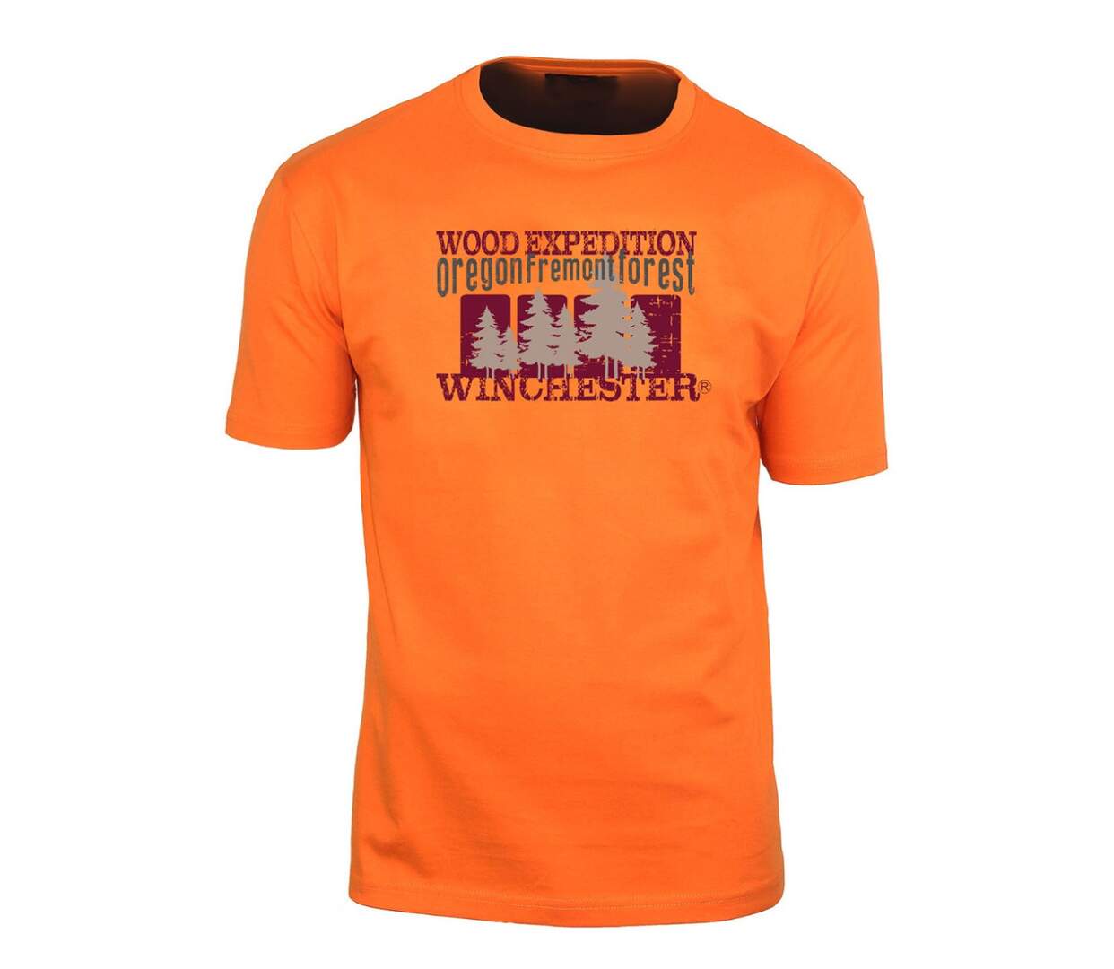 Tee - shirt SELWIN2-1