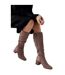 Womens/ladies kaya ruched knee-high boots taupe Dorothy Perkins