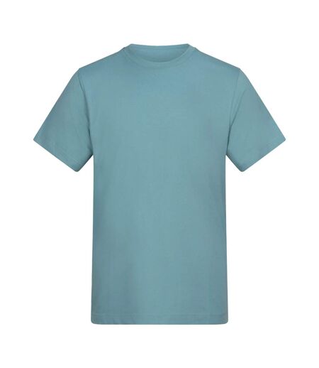 T-shirt Adulte Turquoise Awdis
