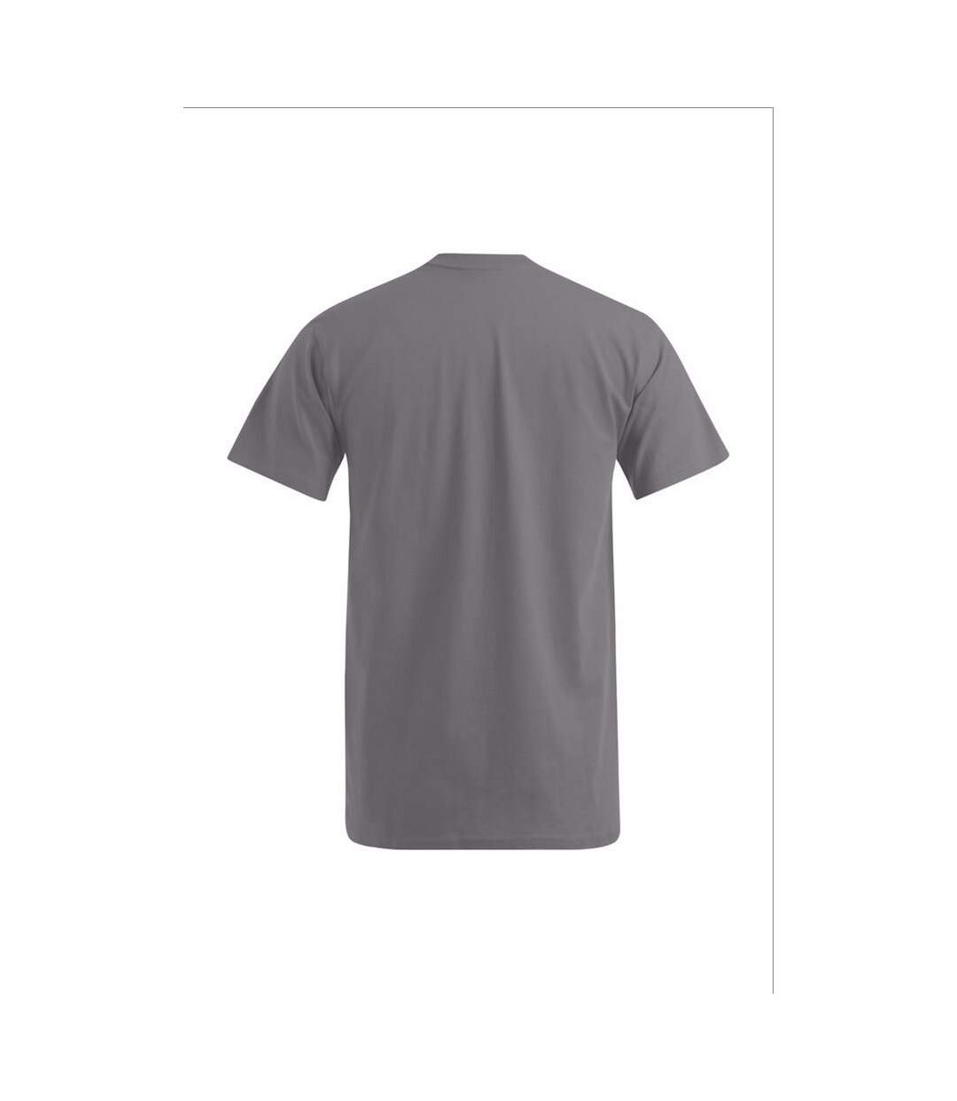 T-shirt Premium Adulte Nouveau Gris Clair Uni Promodoro-2