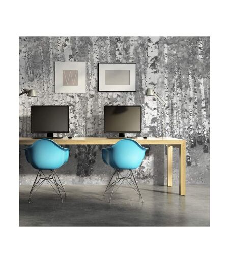 Papier Peint Birch Seclusion II 450x270cm