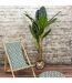 Plante Artificielle XXL Bananier 160cm Vert-5