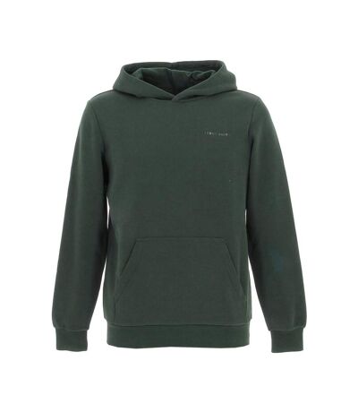 Sweat à capuche Vert Homme Teddy Smith Siclass