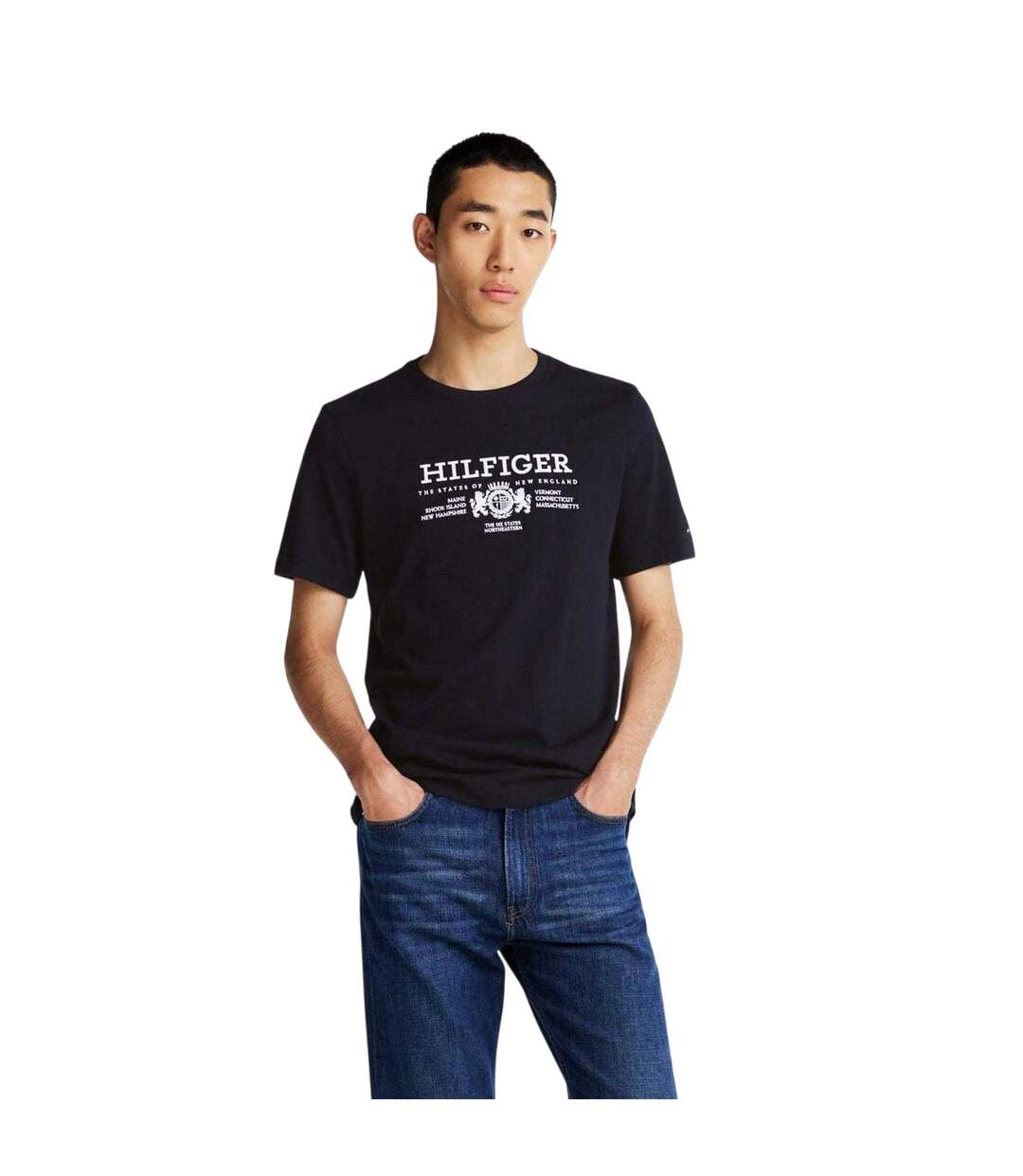 Mens Embroidered Logo Cotton T-shirt Blue Tommy Hilfiger-4