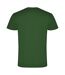 Roly Mens Samoyedo V Neck T-Shirt (Bottle Green) - UTPF4231