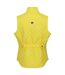 Regatta Womens/Ladies Carmine Vest (Maize Yellow) - UTRG9444