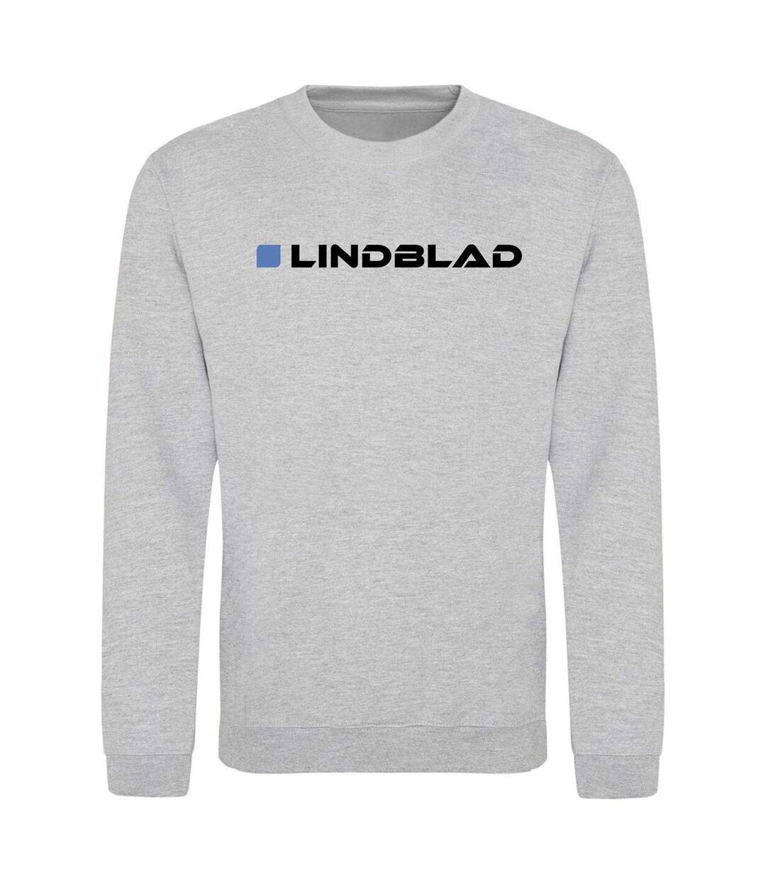 Unisex Adult Formula 1 Sweatshirt Grey AWD-1