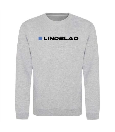 Unisex Adult Formula 1 Sweatshirt Grey AWD