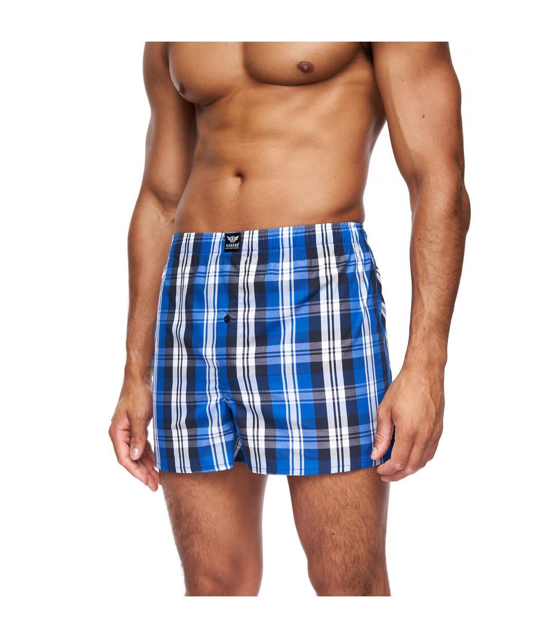 Pack of 6  Mens daxhe checked woven boxer shorts  blue Kandor