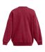 Sweat Adulte Rouge Under Armour-3
