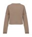 Womens/ladies oversized crop sweatshirt wet sand Native Spirit-2