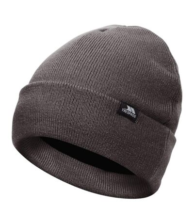 Unisex adult littlebrook beanie storm grey Trespass