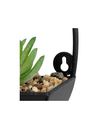 Plante Artificielle à Suspendre Imy 41cm Noir
