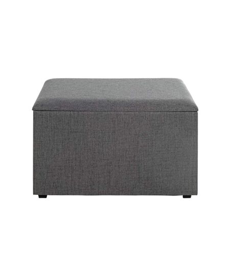 Coffre de Rangement Design Lumyna 65cm Gris