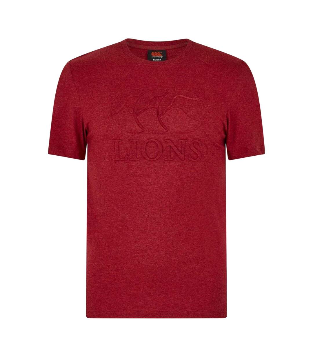 T-shirt Motif/style British & Irish Lions Monument Homme Rouge Écarlate Canterbury-1
