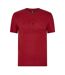 T-shirt Motif/style British & Irish Lions Monument Homme Rouge Écarlate Canterbury-1